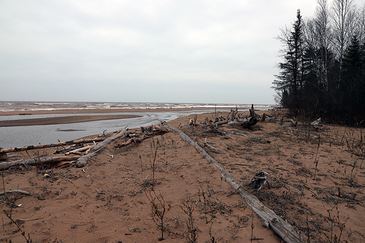 Lake Superior beach